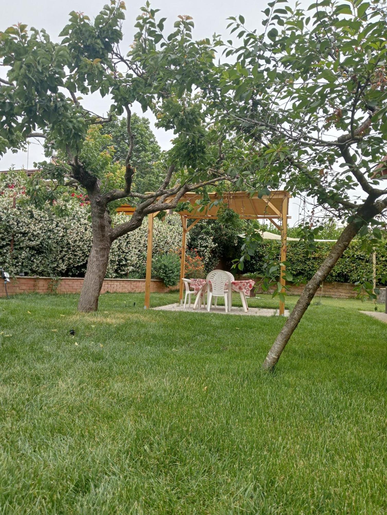 ホテル Da Piero E Gina パリドロ 部屋 写真